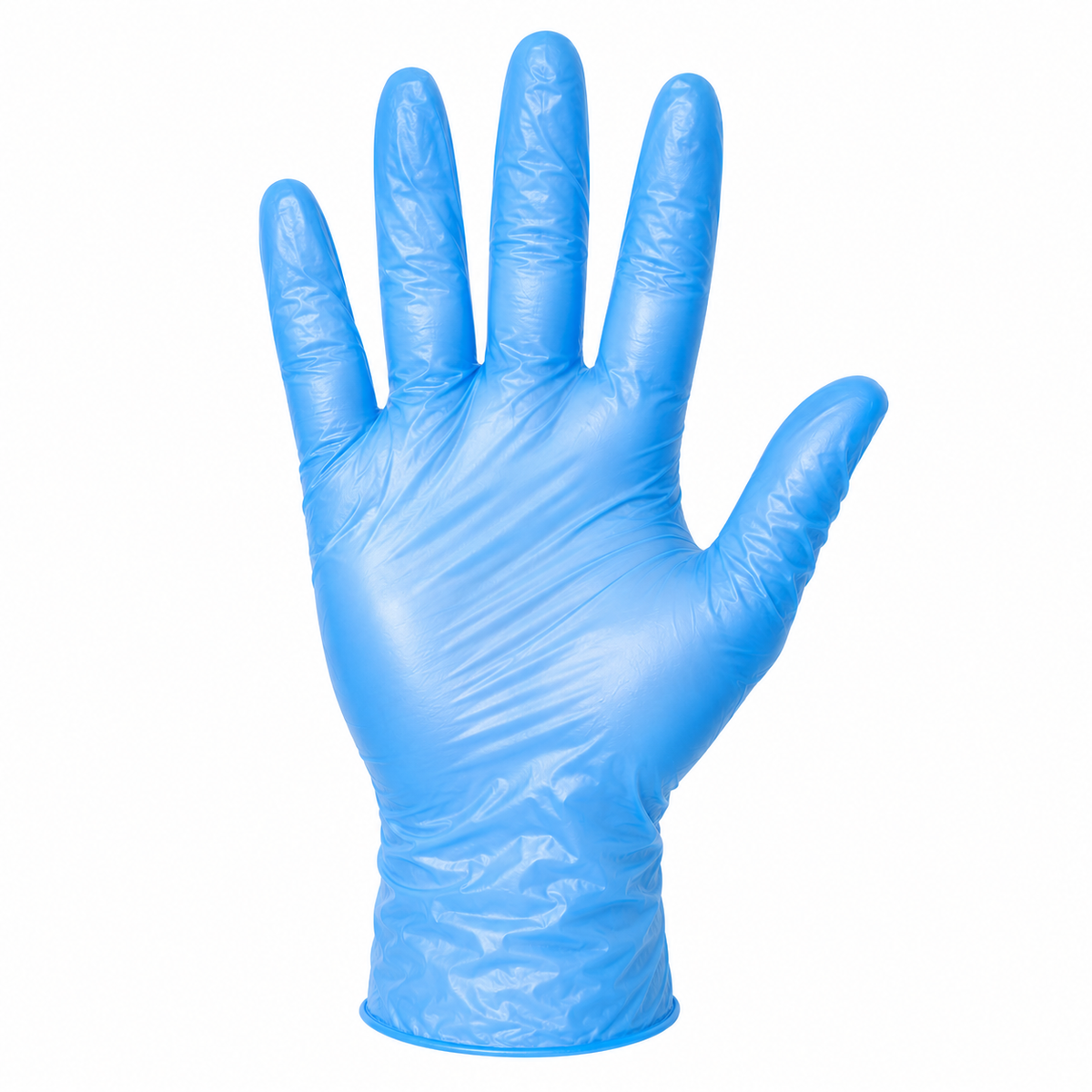 Blue Vinyl Gloves — Powder-Free — representative product photo