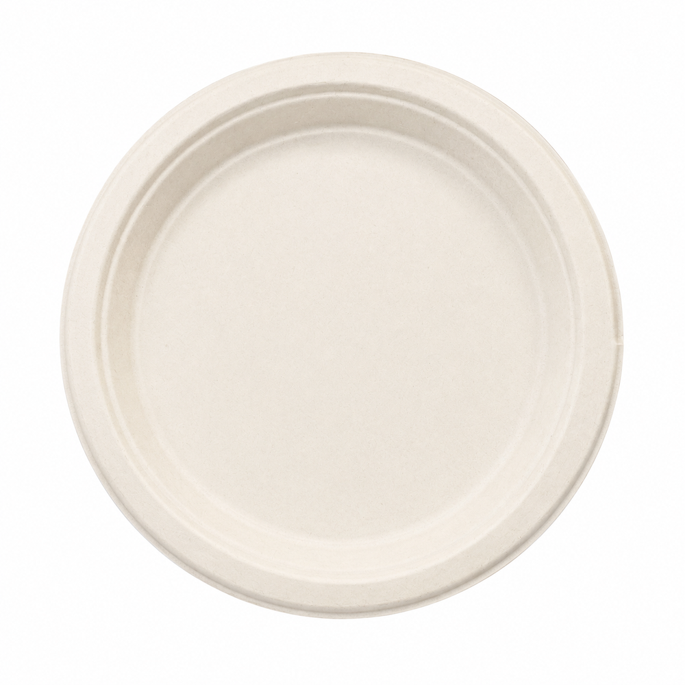Sugarcane Plates — 9 in