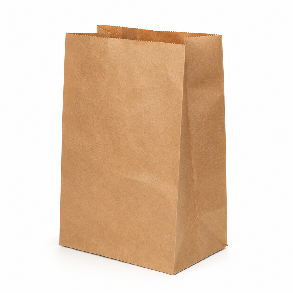 Kraft Paper Bags without Handles — #12