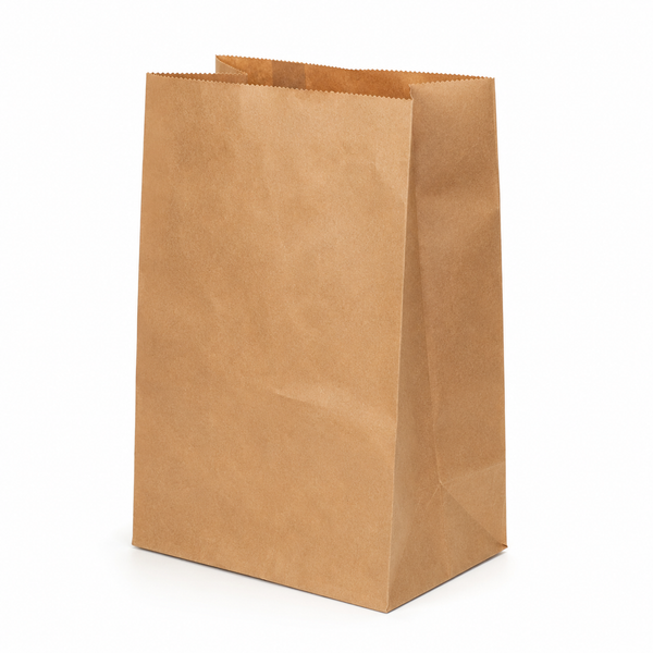 Kraft Paper Bags without Handles — #12